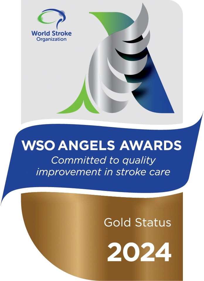 World Stroke Organisation Angels Award 2025 – Gold Status